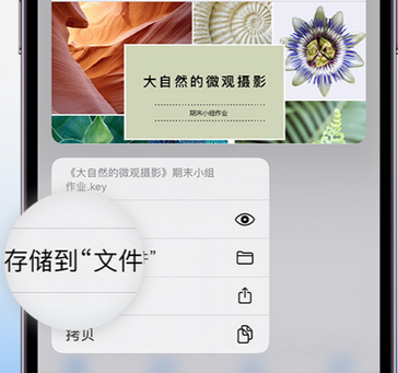 宜川apple维修中心分享iPhone文件应用中存储和找到下载文件