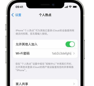 宜川apple服务站点分享iPhone上个人热点丢失了怎么办 