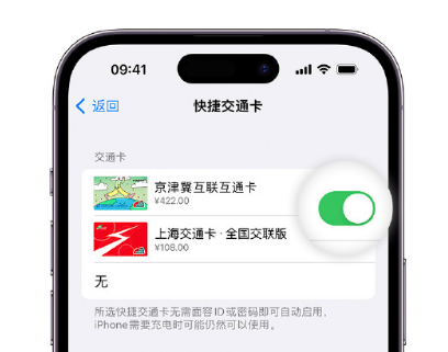 宜川apple维修点分享iPhone上更换Apple Pay快捷交通卡手绘卡面 