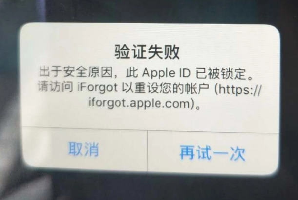 宜川iPhone维修分享iPhone上正常登录或使用AppleID怎么办 