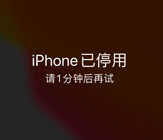 宜川苹果手机维修分享:iPhone 显示“不可用”或“已停用”怎么办？还能保留数据吗？ 