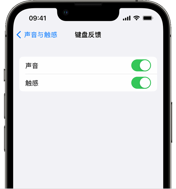 宜川苹果14维修店分享如何在 iPhone 14 机型中使用触感键盘 