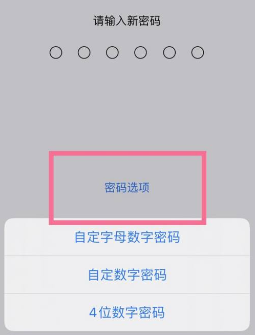 宜川苹果14维修分享iPhone 14plus设置密码的方法 