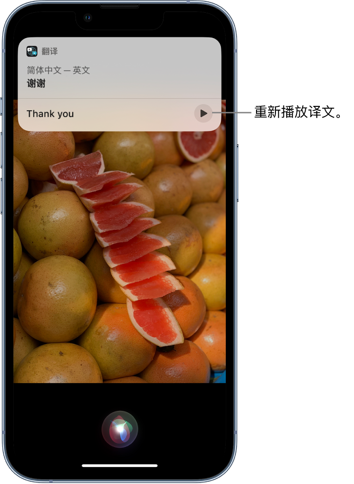 宜川苹果14维修分享 iPhone 14 机型中使用 Siri：了解 Siri 能帮你做什么 