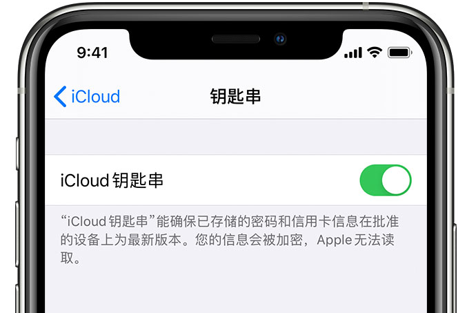 宜川苹果手机维修分享在 iPhone 上开启 iCloud 钥匙串之后会储存哪些信息 