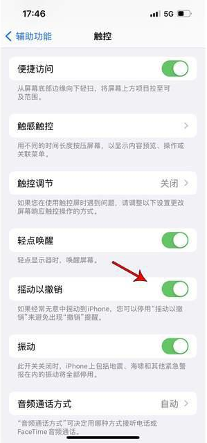 宜川苹果手机维修分享iPhone手机如何设置摇一摇删除文字 